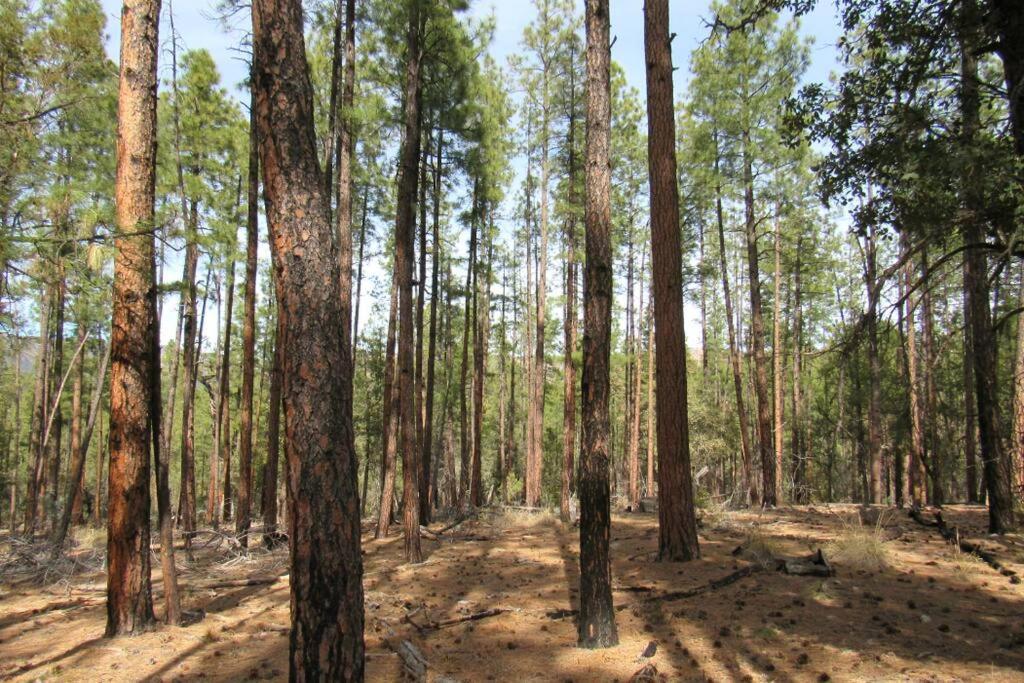 Forest Cabin 2 Birds Nest Payson Luaran gambar
