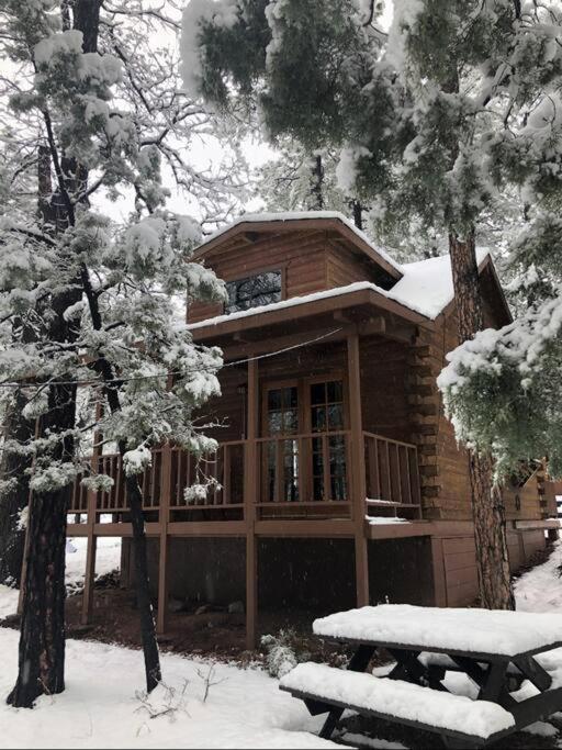 Forest Cabin 2 Birds Nest Payson Luaran gambar