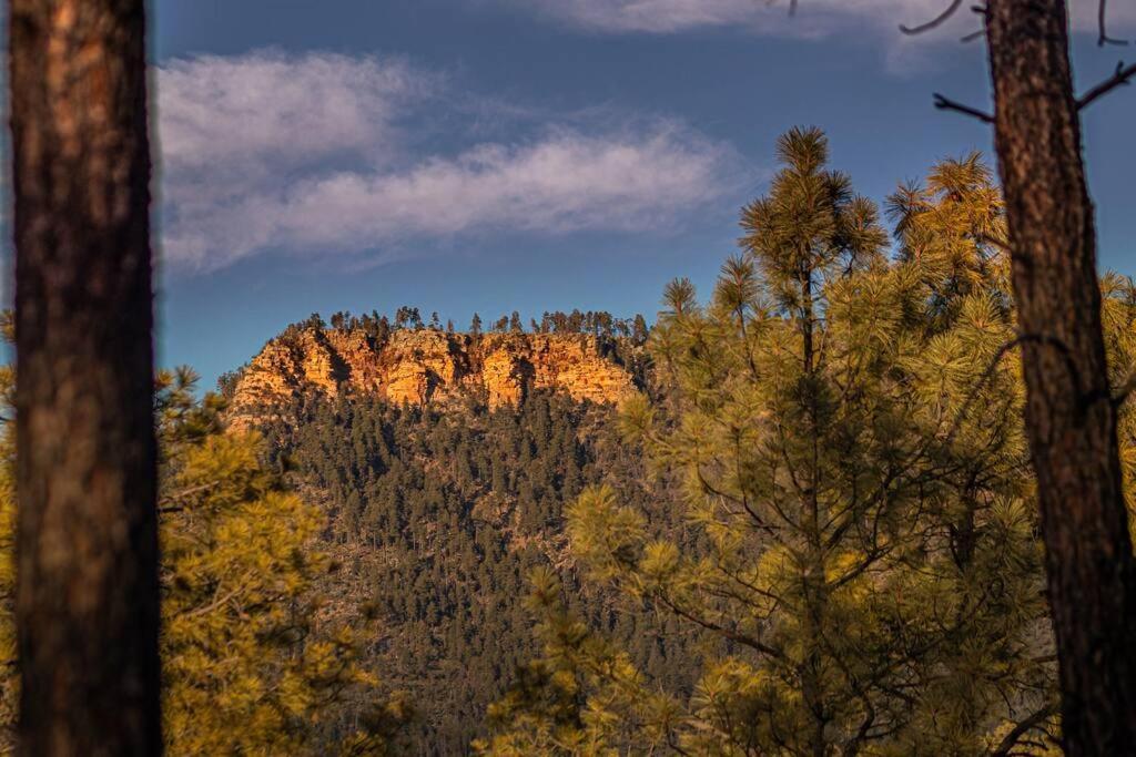 Forest Cabin 2 Birds Nest Payson Luaran gambar